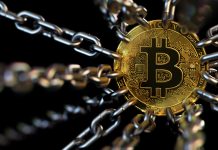 Cryptocurrencies without regulation, Adam Posen says