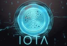 The IOTA cryptocurrency outage has already "survived" several celebrity marriages
