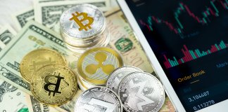 The cryptocurrency market - Bitcoin price grew