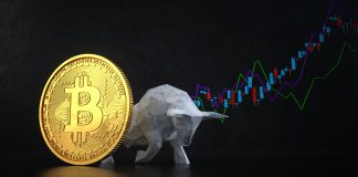 Bitcoin bull market is still persisting