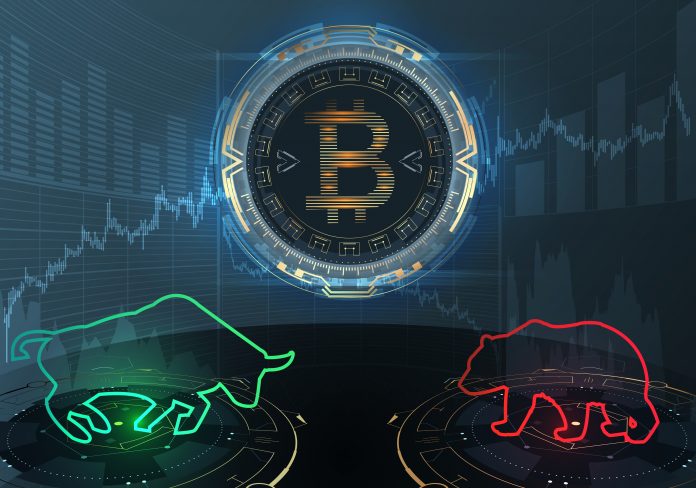 Bitcoin Risk Analysis by Nicholas Merten